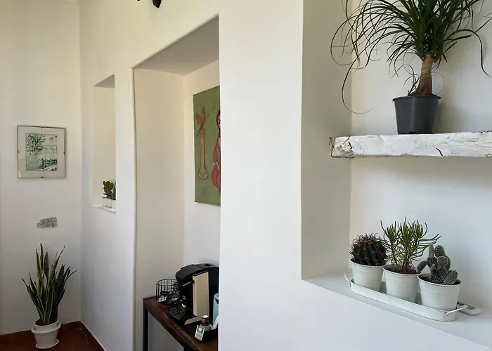Appartement Domus Isidis Singola Con Cucina *